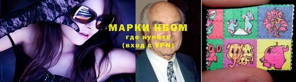 PSILOCYBIN Аркадак