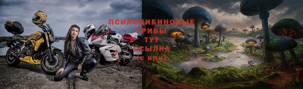 прущая мука Армянск